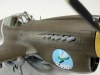 2-p40e-warhawk-by-vaughan-tunjangan