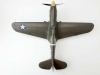 8-p40e-warhawk-by-vaughan-津貼