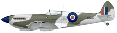 douglas bader spitfire