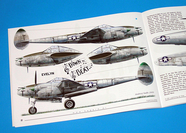2.BR-P-38-Lightning-Topcolors-10-Kagero-вътре