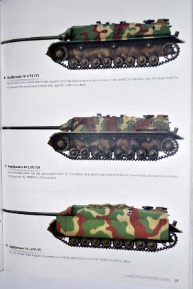 3 BR Ar AK Interactive Camouflage Profile Guide 1945 German Colors
