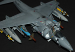 Trump-Harrier-gr7-fn