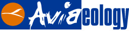 Logotipo de aviaeología
