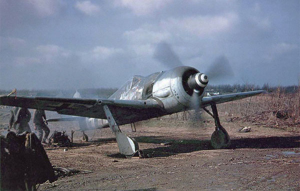 א קאַפּטשערד דייַטש Focke-Wulf Fw 190A-8 (WNr. 681497, "ווייסע 11") פון 5./JG 4 אין סט. טראַנד לופטפעלד, בעלגיע, אַרום 1 יאנואר 1945. די ערקראַפט איז פלאָון בעשאַס אויף 1 יאנואר 1945 דורך קאָרפּאָראַל Walter Wagner וואס איז געשלאגן געווארן דורך פלאק ביי די אטאקע איבער סט. טראנד לופטפעלד. דער מאטאר איז אומגעקומען און ער האט געמוזט מאכן אן עמערדזשענסי לאנדונג. די וואָפן זענען דאָך אַוועקגענומען. די פאָטאָ איז גענומען דורך די רעזידאַנץ USAAF 404th Fighter Group.
