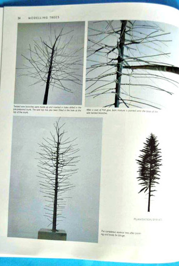 2-BR-Ar-Wild-Swan-Pub-Modelling-Trees-Part-2