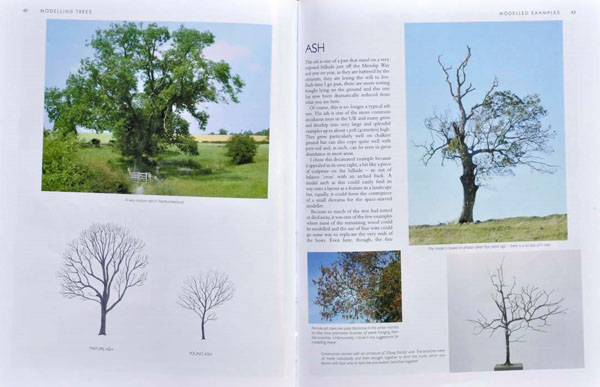 3 BR Ar Wild Swan Pub Modeling Trees Pt1