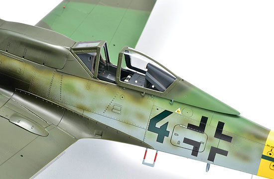 10-HN-Ac-Zoukeimura-FockeWulf-Ta152H0-1.32