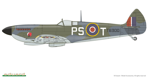 TB300, pilotado por G / C Stan Turner, ala No. 127, aeródromo Evere, Bélgica, abril de 1945