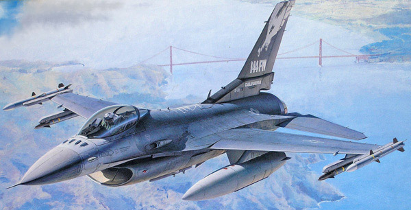 Tamiya Lockheed Martin F-16C Blok 25/32 Melawan Falcon 1:48