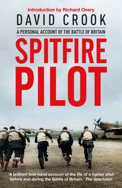 Spitfire Pilot, Britanya Savaşının Kişisel Hesabı